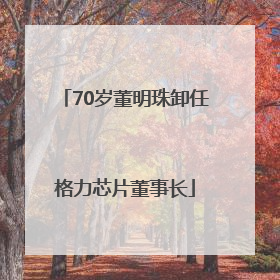 70岁董明珠卸任格力芯片董事长