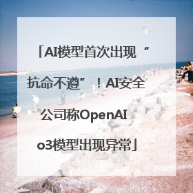 AI模型首次出现“抗命不遵”！AI安全公司称OpenAI o3模型出现异常