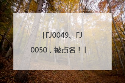FJ0049、FJ0050，被点名！